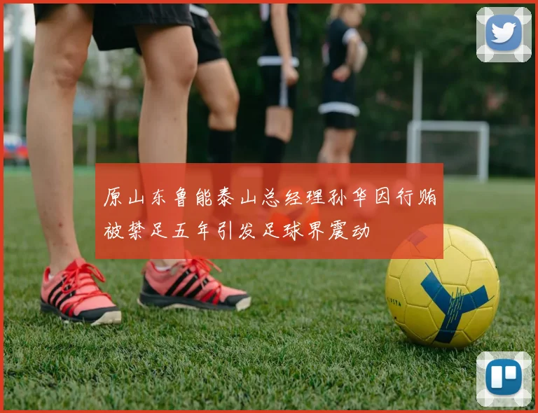 原山东鲁能泰山总经理孙华因行贿被禁足五年引发足球界震动